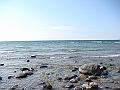 Western Michigan [2010] 804